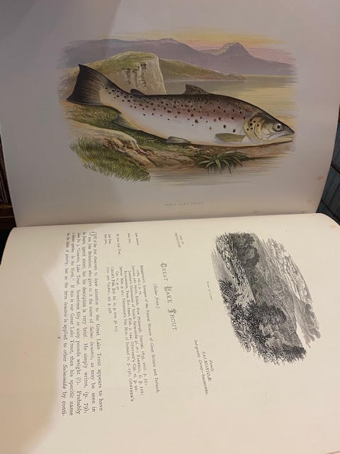 British Fresh-Water Fishes