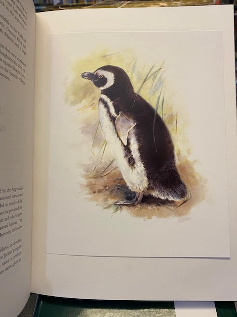 The Falkland Islands: An Artist's Portfolio