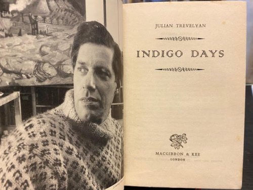 Indigo Days