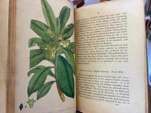 British Poisonous Plants