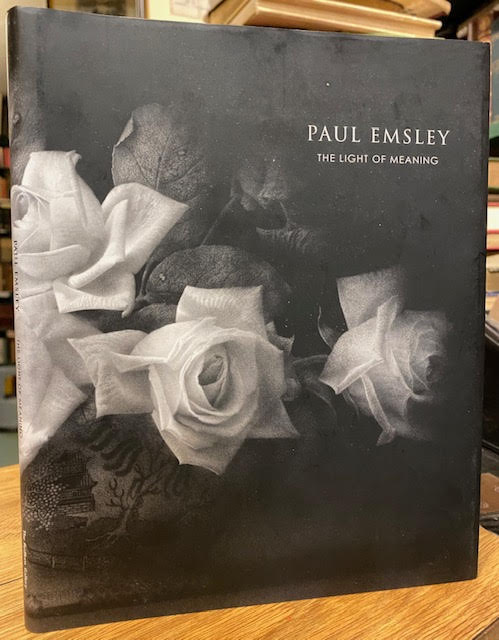 Paul Emsley: The Light of Meaning