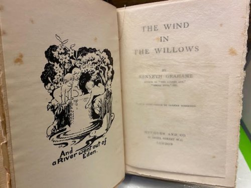 Wind in the Willows