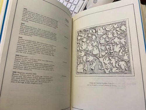 The Vine : Issues 1-48 [4 vols. February 1985 to January 1989]