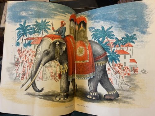 Elephants, Rhinos, Horses, Pigs and Camels [Livings Animals]