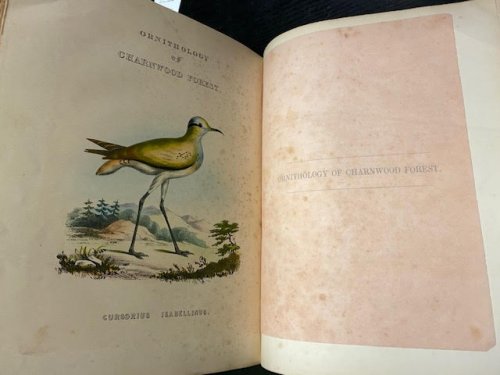 The history and antiquities of Charnwood Forest . : with an appendix on the geology, botany and ornithology of the district. The geology by J.B. Jukes ; the botany by the Rev. Andrew Bloxam and Churchill Babington, and the ornithology by Churchill Babington.