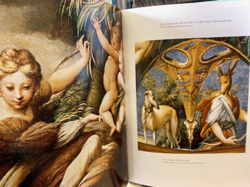 Parmigianino: The Paintings