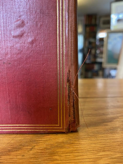 Sylvie and Bruno ; Sylvie and Bruno Concluded [Two Volumes]