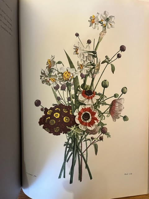 Bouquets: Eighteen Coloured Engravings Which Faithfully Reproduce The Original Watercolours Flowers and Fruit With Captions From the Original Text and an Introduction