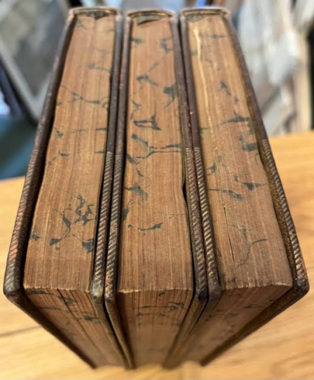 An Essay Concerning Human Understanding [3 Volumes]
