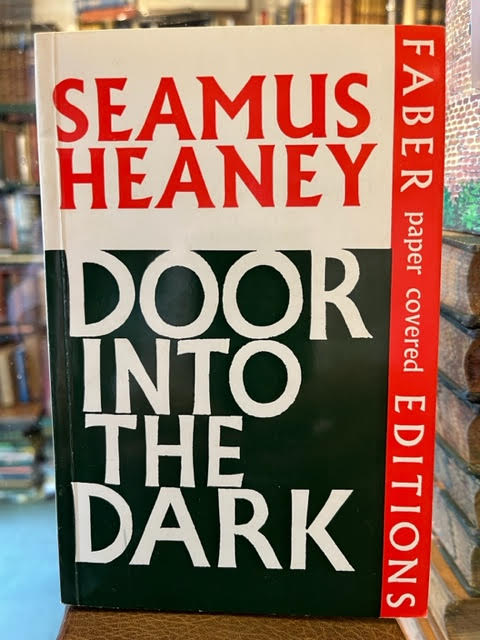Door into the Dark