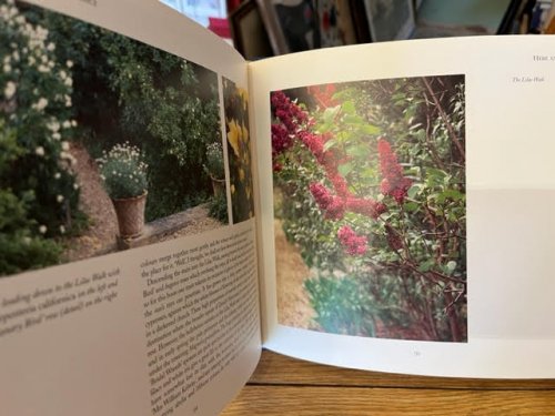 An English Garden in Provence