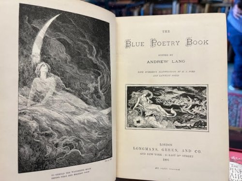 The Blue Poetry Book