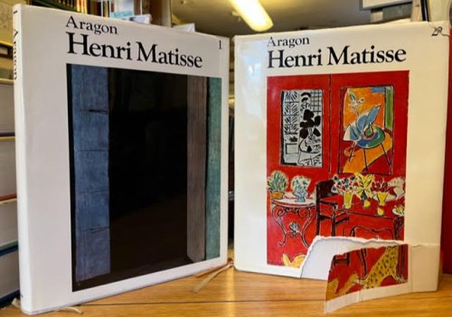Henri Matisse : a novel