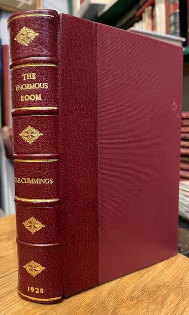 Image for The Enormous Room The Enormous Room