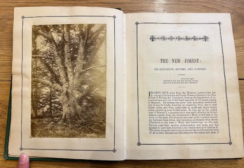 The New Forest Handbook: Historical and Descriptive. With a New Map and Itinerary.