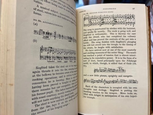 The Nibelung's Ring: An Act by Act Guide to the Plot & Music
