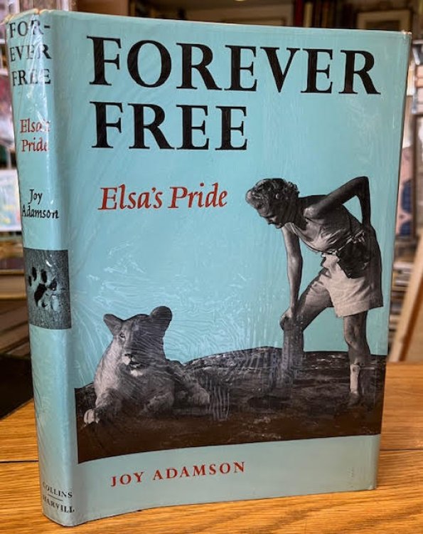 Forever Free: Elsa's Pride