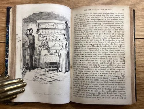 The Greatest Plague of Life: or The Adventures of a Lady in Search of a Good Servant. By One Who Has Been 'Almost Worried to Death'