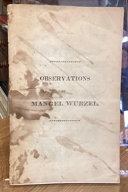 Observations on Mangel Wurzel