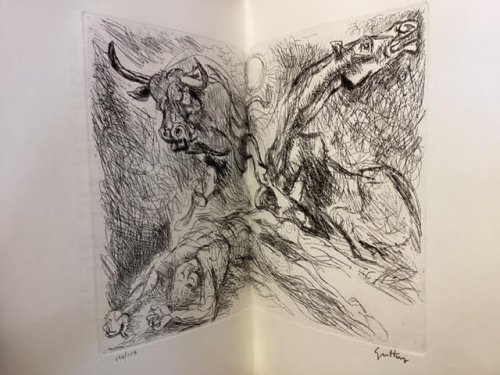 Llanto Por Ignacio