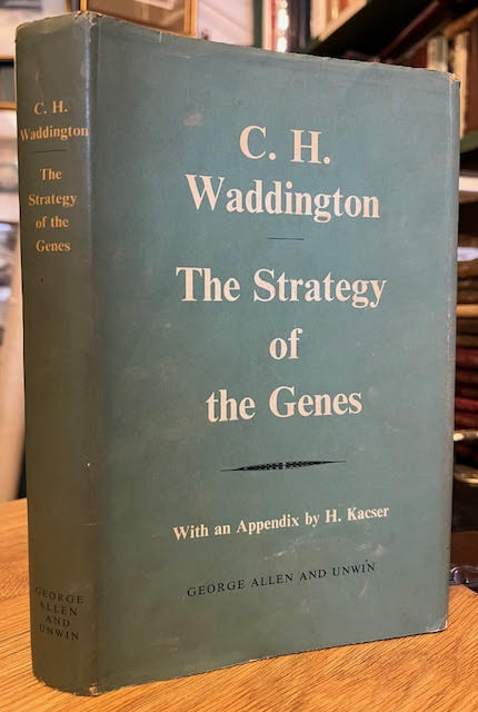Image for The Strategy of The Genes: A Discussion of Some Aspects of Theoretical Biology The Strategy of The Genes: A Discussion of Some Aspects of Theoretical Biology