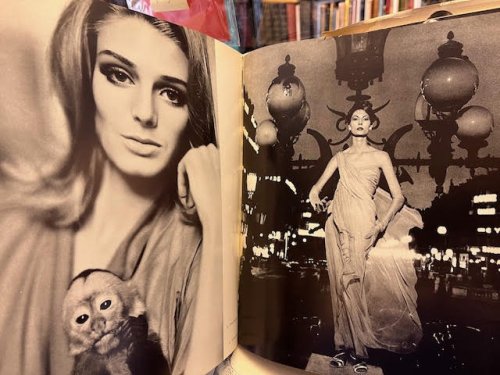 Beauty: Variations on the Theme 'Woman' by Masters of the Camera - Past and Present