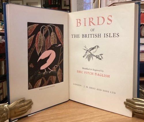 Birds of The British Isles