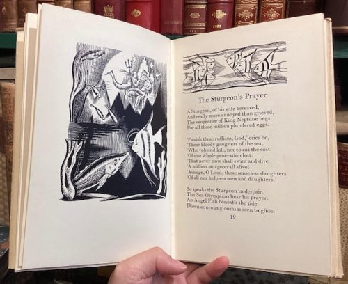 Words, Beasts and Fishes