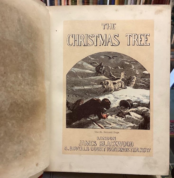 The Christmas tree: a book of instruction and amusement for all young people