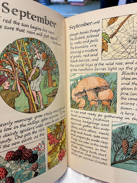 The Young Naturalist's Companion