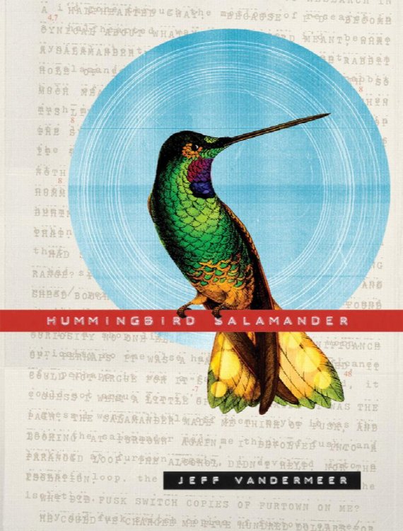 HUMMINGBIRD SALAMANDER (signed/limited ed.)