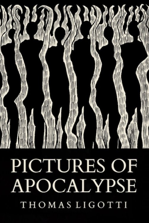 PICTURES OF APOCALYPSE