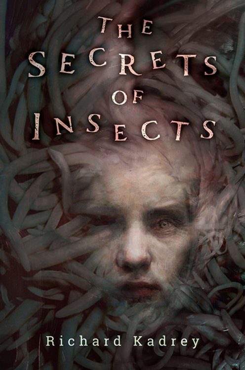 THE SECRETS OF INSECTS