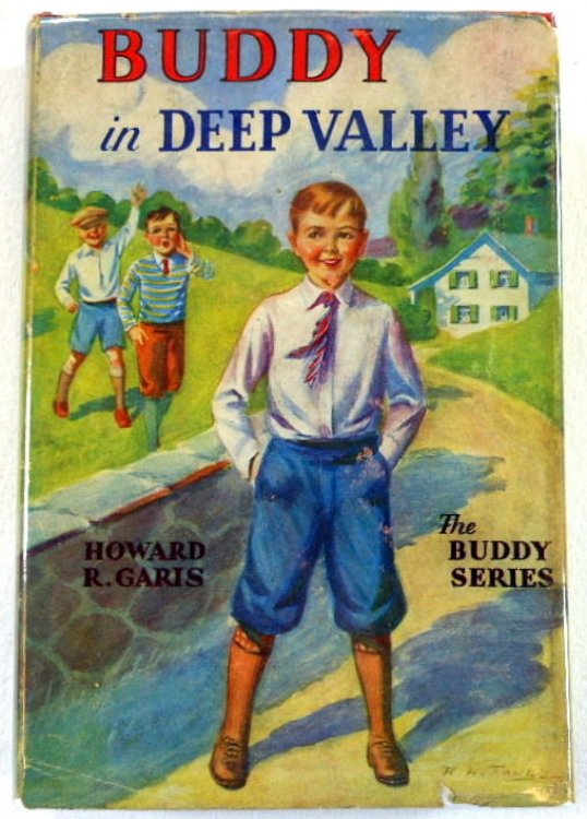 Buddy in Deep Valley; or a Boy on a Bee Farm. Buddy Books No. 16