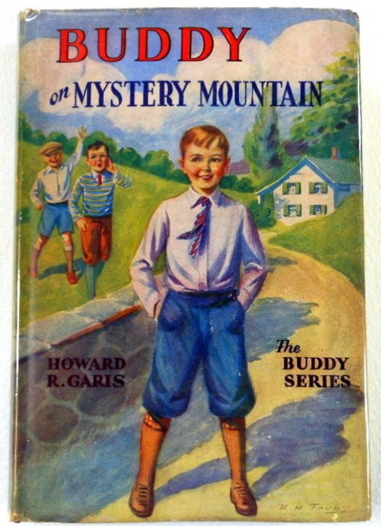 Buddy on Mystery Mountain; or A Boy's Strange Discovery. Buddy Books No. 8