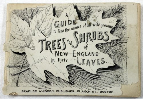A Guide to Find the Names of All Wild-Growing Trees and Shrubs of New England By Their Leaves