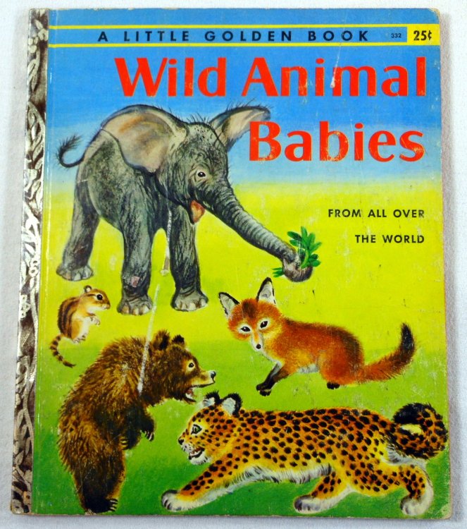 Wild Animal Babies. A Little Golden Book