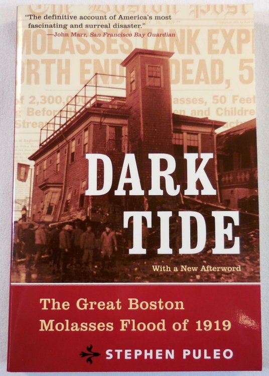 Dark Tide: The Great Boston Molasses Flood of 1919