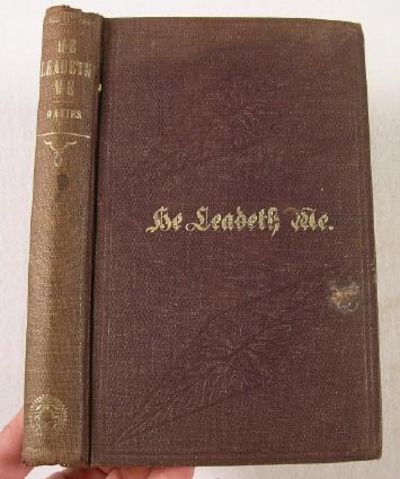 He Leadeth Me; Or, The Personal Narrative, Religious Experience, and Christian Labors of Rev. E. Davies