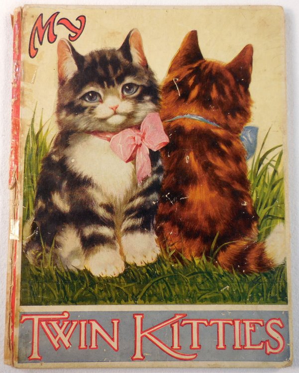 My Twin Kitties
