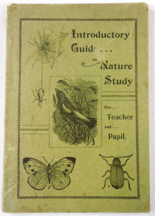 Image for An Introductory Guide in Nature Study for Teacher and Pupil An Introductory Guide in Nature Study for Teacher and Pupil