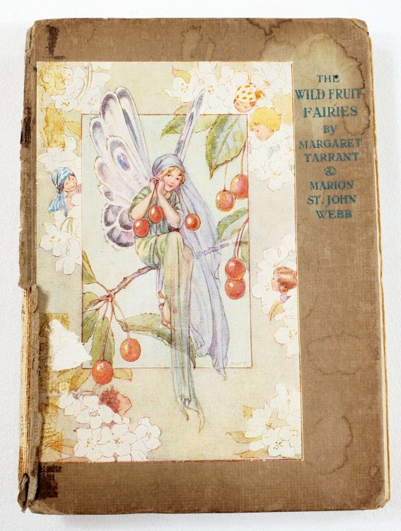 The Wild-Fruit Fairies