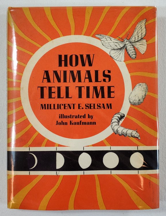 How Animals Tell Time