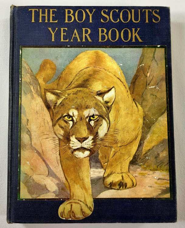 The Boy Scouts Year Book 1924