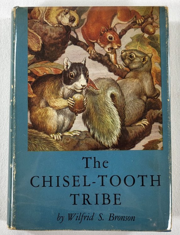 The Chisel-Tooth Tribe
