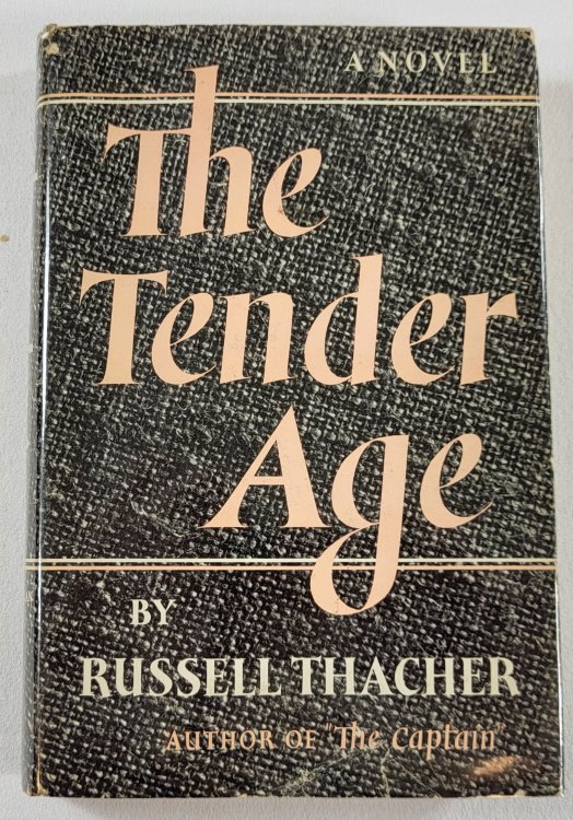 Image for The Tender Age: A Novel The Tender Age: A Novel