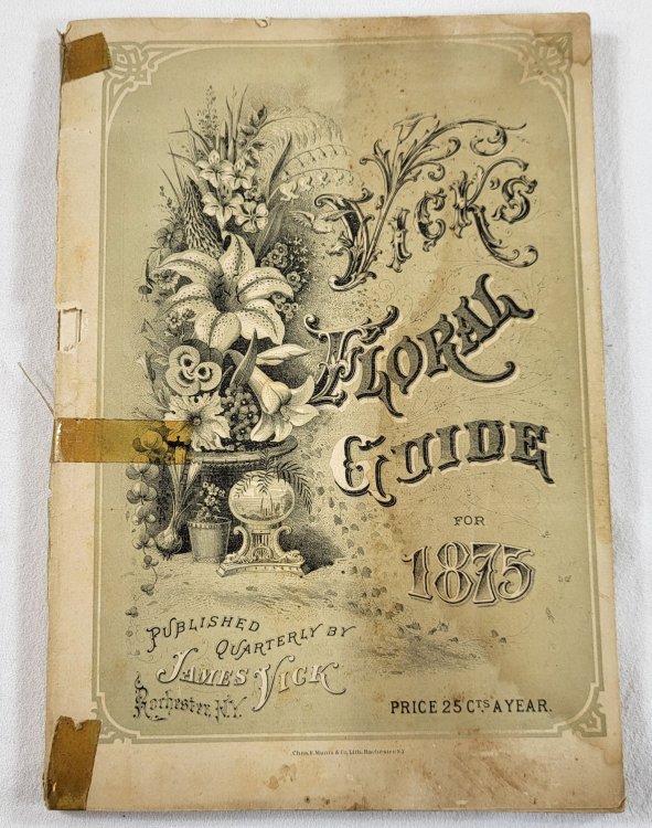 Vick's Floral Guide for 1875