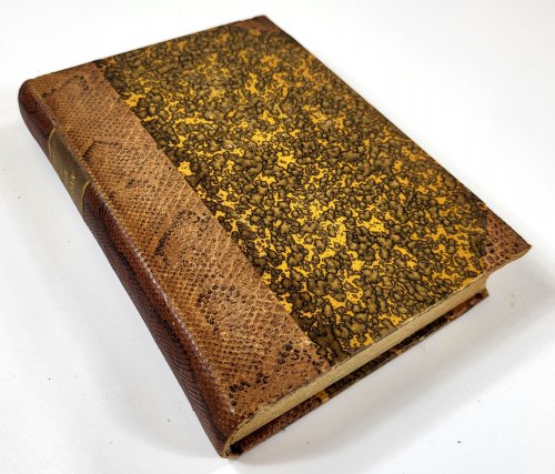 Le Retour d'Amazan Ou Une Histoire de La Litterature Francaise