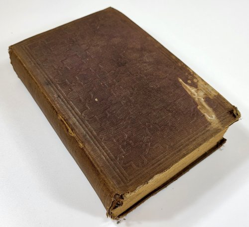 Married, Not Mated; or, How They Lived at Woodside and Throckmorton Hall
