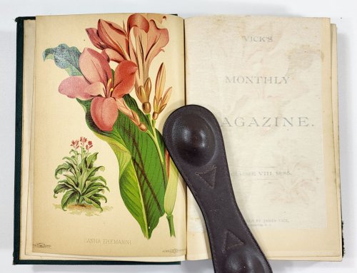 Vick's Monthly Magazine. Volume VIII, 1885